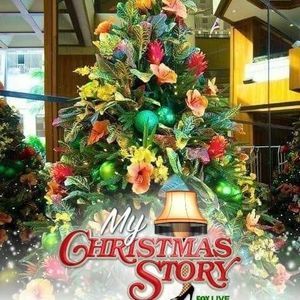 Meet your Posher, Carol